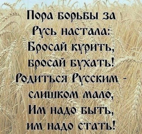 �������� ������ - 5 ����� 2017 � 02:01