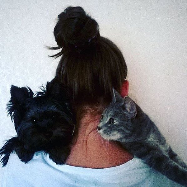 #Безкота_добро.Знакомьтесь - её величество София!Ей уже два года, мы нашли её на улице когда она ... - 2