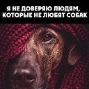 ���� ������, �����-���������, 48 ��� - ��������� 7 ������� 2016 � ������ ������ ��������