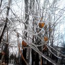 ���� Seleniya, ������, 50 ��� - ��������� 8 ������� 2017 � ������ ������ ��������