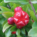 ���� ����, ������-��-����, 51 ��� - ��������� 16 �������� 2016