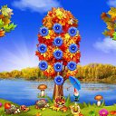 ���� ��������, �����, 51 ��� - ��������� 6 ������ 2017 � ������ �������� �������-�������