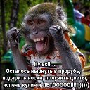 ���� �������, �����������, 58 ��� - ��������� 13 ������ 2017 � ������ ������ ��������