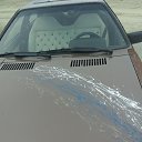 ���� ����, ������, 42 ���� - ��������� 11 ������� 2016 � ������ ������ ��������