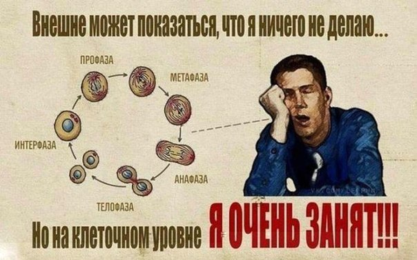9 отмазок лентяев. 1. Я не могу Единственный человек, который может сказать тебе: «Ты не можешь», — ...