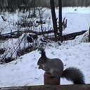 ���� �������, ����� - ��������� 5 ����� 2017 � ������ �������