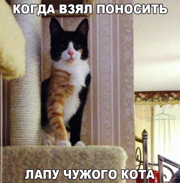    :D - 10  2017  14:34