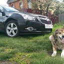 ���� ����, ���������, 34 ���� - ��������� 18 ������� 2016 � ������ ���� ����������