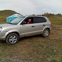���� ��������, ���������� - ��������� 8 ������� 2016 � ������ ���� ����������