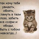 ���� �����, ������ - ��������� 23 ������ 2017 � ������ ���� ����������