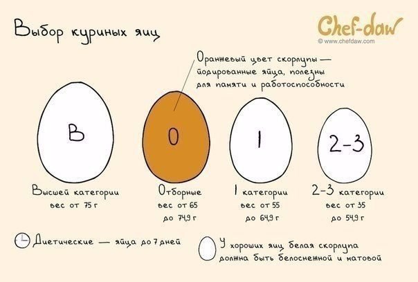    ,     .,   ... - 5