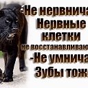 ���� ������� �������, ������� - ��������� 22 ������� 2016 � ������ ���� ���������߻