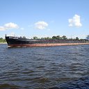 ���� ����, ������, 65 ��� - ��������� 15 ������� 2016 � ������ ���� ����������