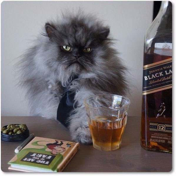 �������, ��� ����� ��� ���������, ��� ��� � ��������. �� ����, �, ��������, ������� ��� ��� ���� ...