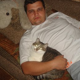 �������, �������, 43 ����