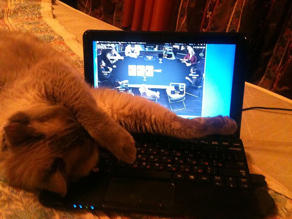 "   " "   "  !   !    ...