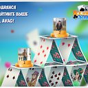 ���� Vladimir, ����-���������, 56 ��� - ��������� 3 ������ 2016 � ������ �������� �������-�������