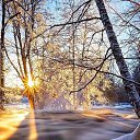 ���� ���������, ���������, 41 ��� - ��������� 15 ������� 2016 � ������ ���� ����������