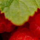 ���� Ekaterina, ������-��-���� - ��������� 20 �������� 2016