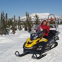 ���� M�����, ����������� - ��������� 16 ����� 2017 � ������ ���� ����������