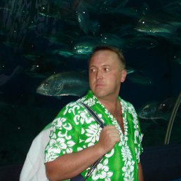 ������, ������, 55 ���