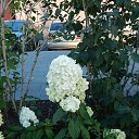 ���� �����, ���� - ��������� 3 ������� 2016 � ������ �������������