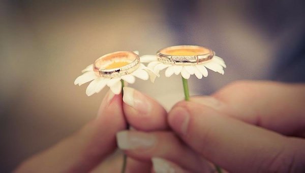  ....... - 13  2017  21:46