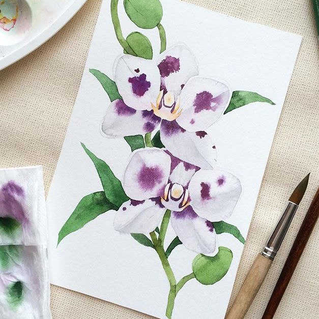 ������ ���� ��� ��� - 3