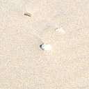 ���� ���������, ����-���������, 69 ��� - ��������� 8 ������� 2016 � ������ ���� ����������