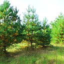 ���� �������, ��������, 47 ��� - ��������� 2 ������� 2016 � ������ ���� ����������