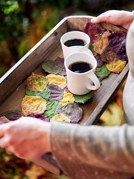    .     .   .      .  ... - 6