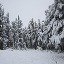 ���� �������, ����������, 49 ��� - ��������� 5 ������� 2016 � ������ ������