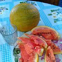 ���� �������� �� ������� ����� 2016�