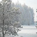 ���� �����, �������� - ��������� 24 ������� 2017 � ������ ���� ����������