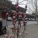 ���� Svetlana, ����������� - ��������� 21 ����� 2017 � ������ ���� ����������