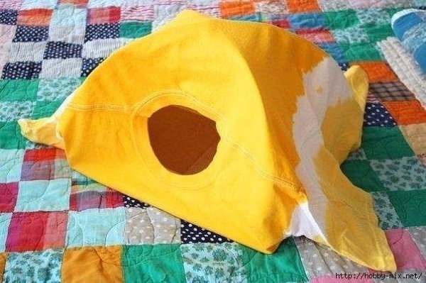 Фото из записи: