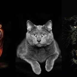 ������, ������, 47 ���