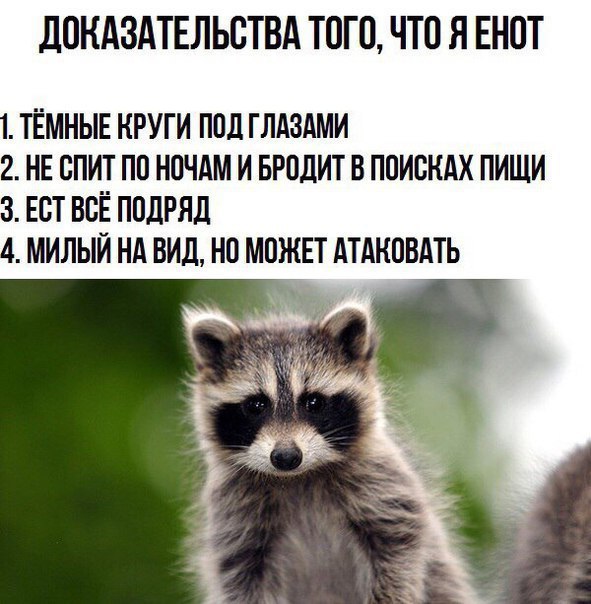 ������ ������� - 30 ������ 2017 � 07:17