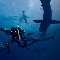 ����, ��������, 58 ���