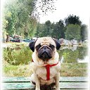 ����� ����� �������� �� ������� ���� �������� � ������ ������