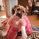������� ��� ���� �� ������� ���� ����������