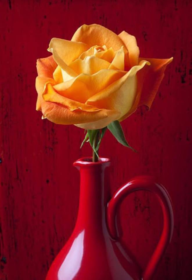 �. ���������� ��� ����������... � ������� � ���������!!!!