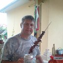 ���� �������, �������, 54 ���� - ��������� 16 ������� 2016 � ������ ���� ����������