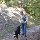 ���� ��������, ����������� - ��������� 1 ������� 2016 � ������ ���� ����������