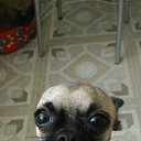 ���� ������, ������, 85 ��� - ��������� 24 �������� 2016 � ������ ���� ����������