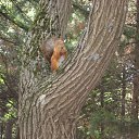 ���� �������, ������� �����, 47 ��� - ��������� 14 ������� 2017 � ������ ���� ����������