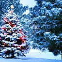 ���� ����, ����, 59 ��� - ��������� 31 ������� 2016 � ������ ������ ��������