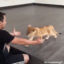 ���� ������, �������� - ��������� 5 ����� 2017 � ������ ������