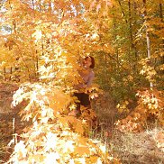 ��������, 54 ����, ������