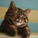 ���� ������, ��������, 33 ���� - ��������� 22 ������� 2016